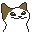 pop cat
